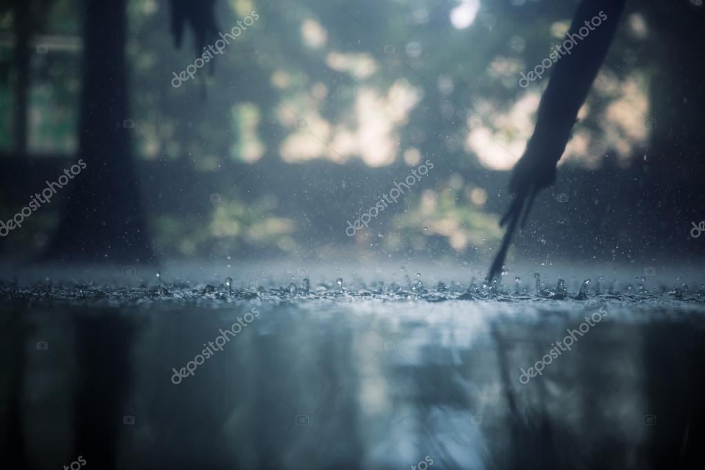 Tropical rain — Stock Photo © Nomadsoul1 29692495