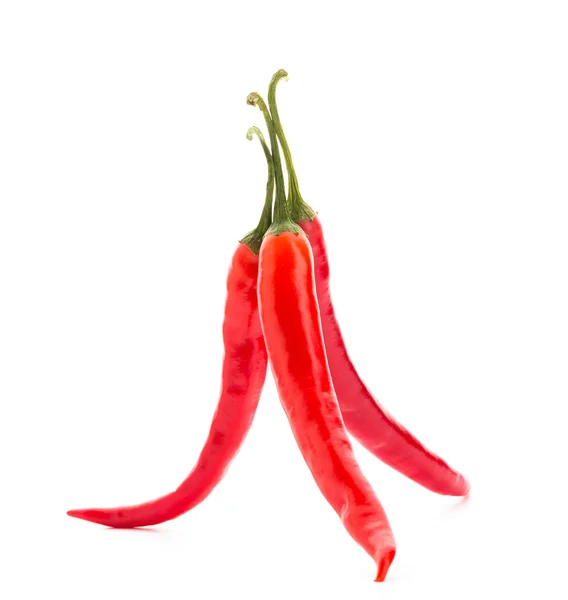 Röd paprika — Stockfoto