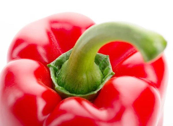 Paprika — Stockfoto