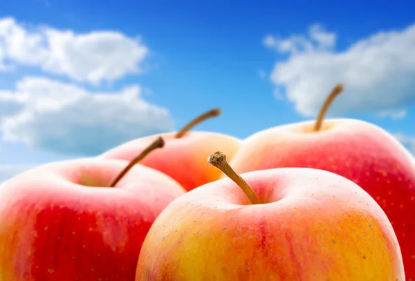 Apple — Stock Photo, Image