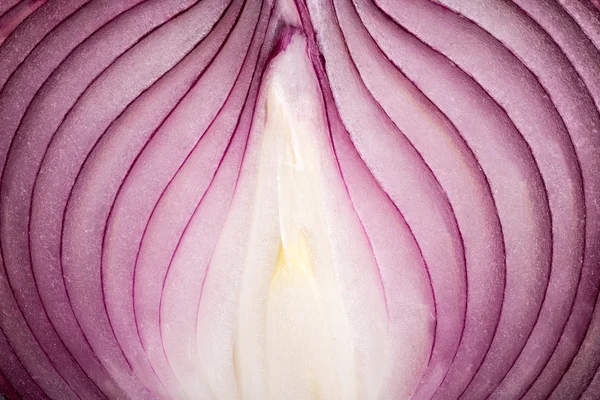 Ripe onion macro — Stock Photo, Image