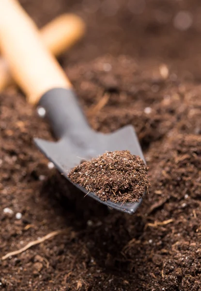 Shovel tool on soil — Stock Photo, Image