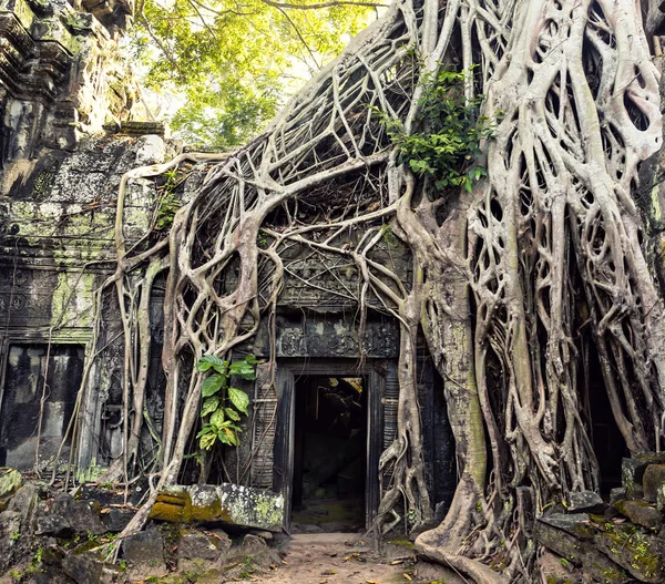 Partie du temple d'Angkor — Photo