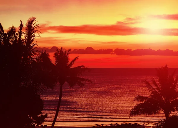 热带日落 — 图库照片