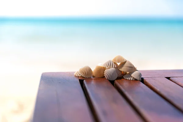 Seashells — Stock Photo, Image