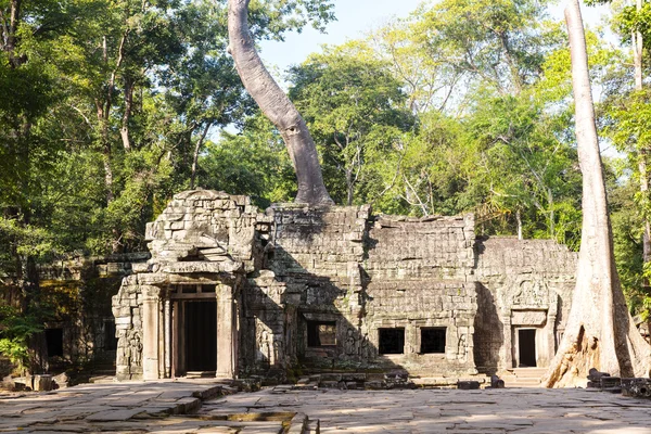 Tempel über tropischen Bäumen — Stockfoto