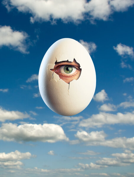 Egg isolated on blue background with eye inside