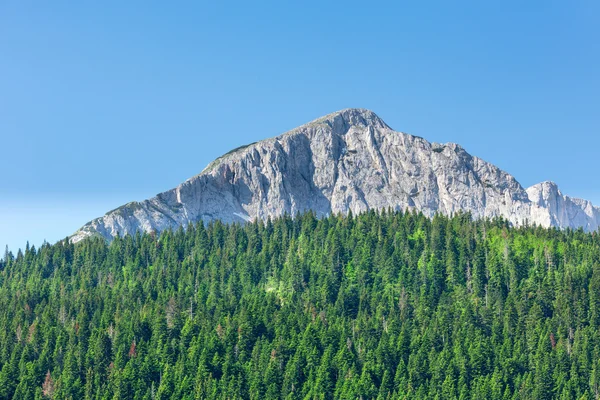 モンテネグロの山 — ストック写真