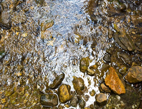 Wasser im Waldfluss — Stockfoto
