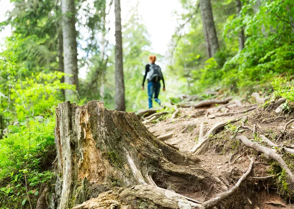 Wanderer im Wald — Stockfoto