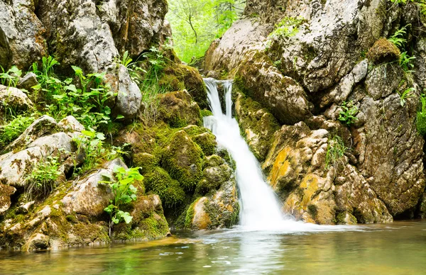 Cachoeira em Montenegro — Fotografia de Stock