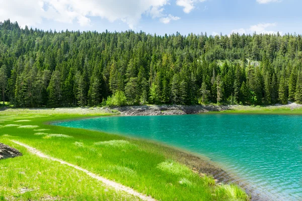 Lago azul e floresta — Fotografia de Stock