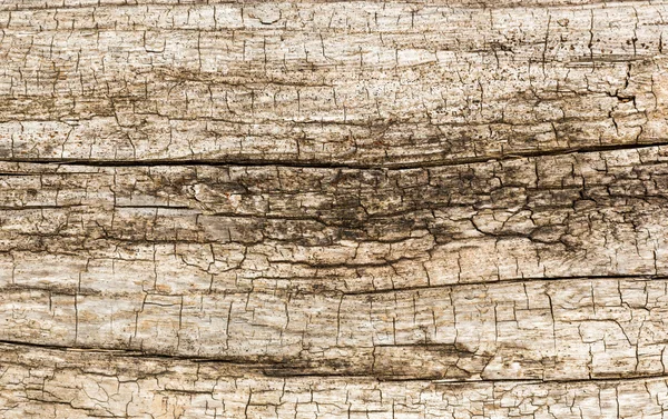Mur en bois altéré — Photo