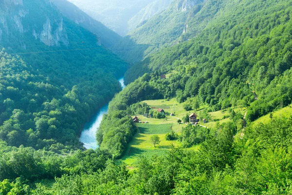 Tara River Canyon — Stok fotoğraf