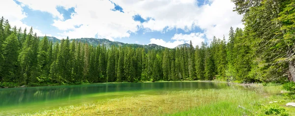 Crno Jezero, Montenegro — Stockfoto