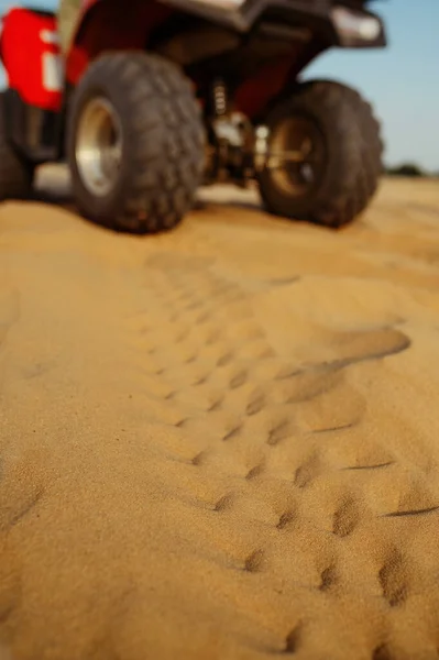 Atv in desert, closeup view on tread marks, nobody — Stock Photo, Image