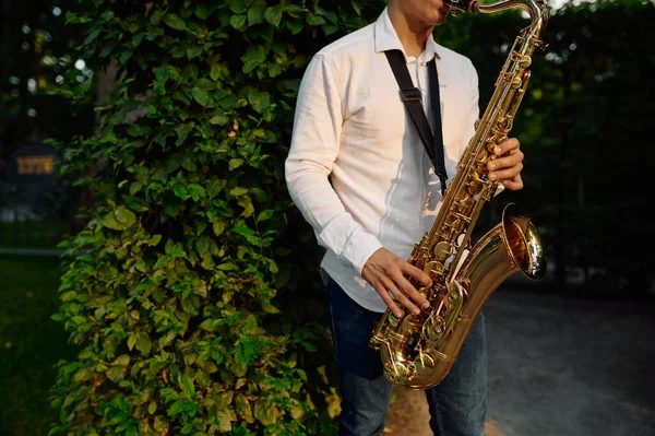 Mannelijke saxofonist speelt op het steegje in het zomerpark — Stockfoto