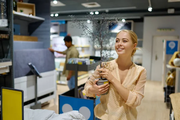 Woman choosing decorative tree for home interior — Stockfoto