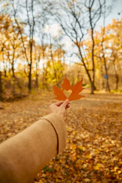 Hoja de arce de otoño en forma de corazón en mano —  Fotos de Stock