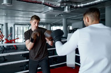 İki erkek antrenman partneri boks eldiveni giyen sporcu ringde tekme atıyor.