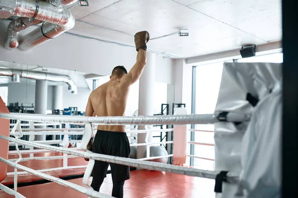 Vista Volta Boxeador Muscular Sem Camisa Com Mão Levantada Vestindo — Fotografia de Stock