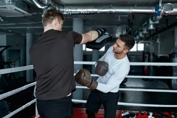 Dois Homens Lutando Parceiros Desportista Vestindo Luvas Boxe Praticar Chutes — Fotografia de Stock