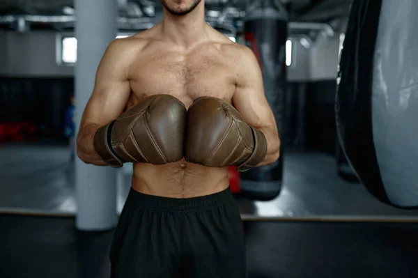 Retrato Recortado Del Torso Del Boxeador Masculino Posando Guantes Boxeo — Foto de Stock