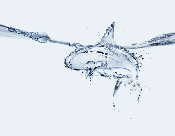 물 상어 — 스톡 사진