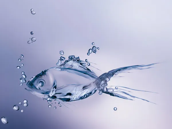 Water Fish — Stock Photo, Image