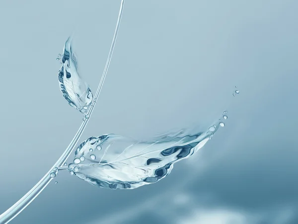 mavi su yaprakları ve gölge