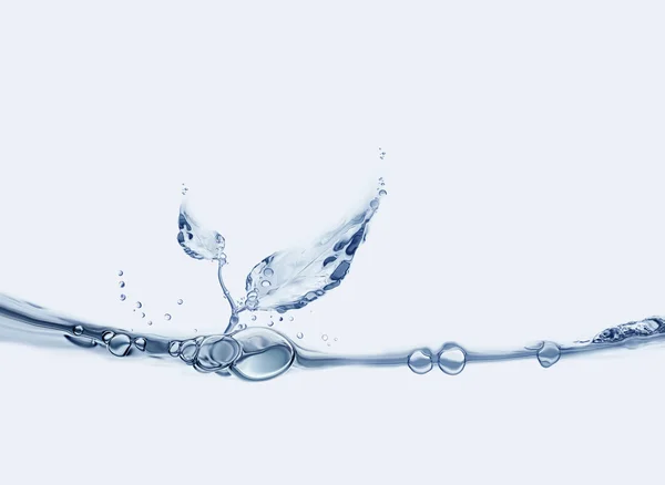 tahıl ve yaprakları su