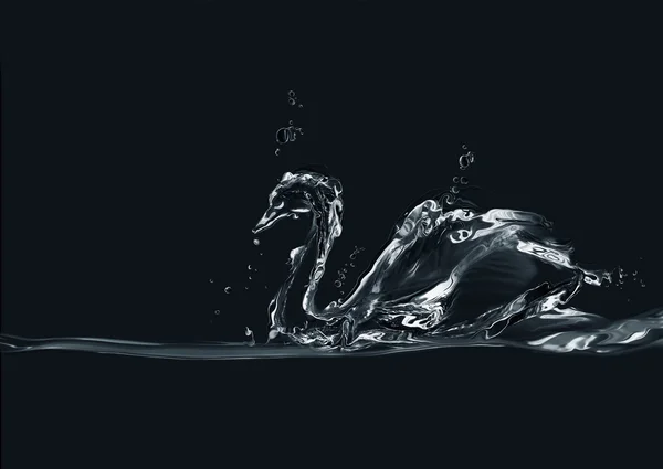 Black Water Swan — Stock Photo, Image