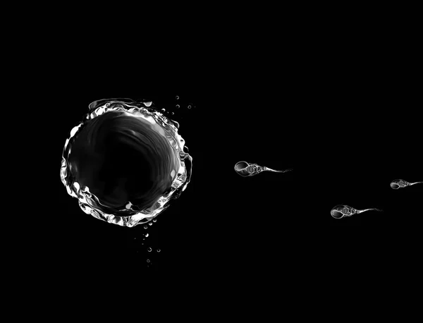 Huevo blanco y negro y esperma — Foto de Stock