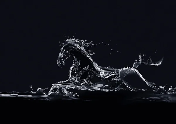 Black Water Horse — Stock Photo, Image