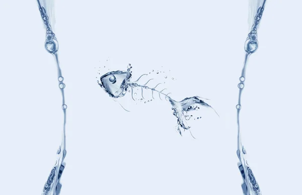 水鱼骨框架 — 图库照片