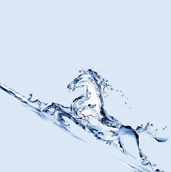 Su atı yukarı doğru dörtnala