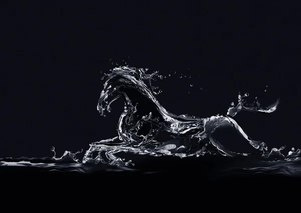 Caballo de agua negro Imagen De Stock