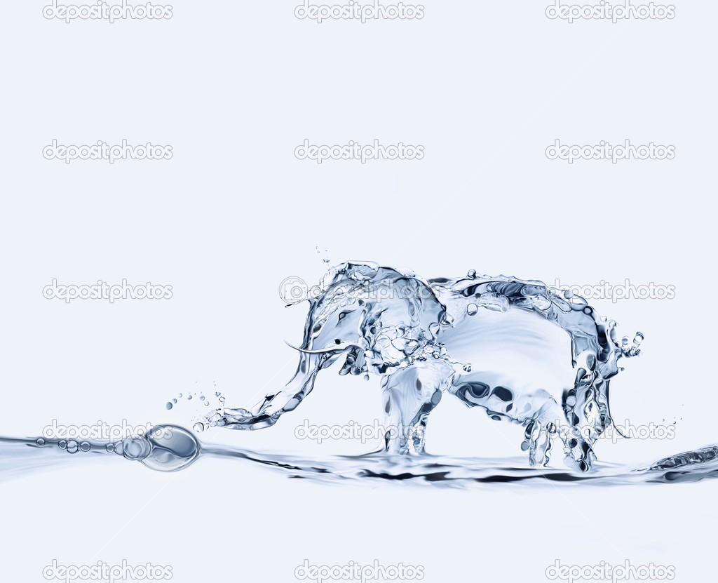 Water Elephant