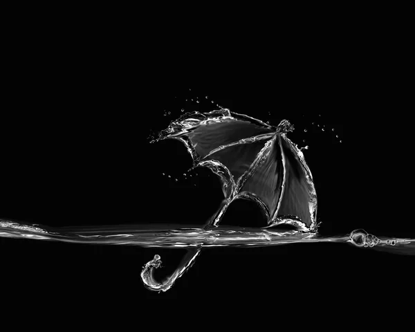 Siyah-Beyaz su şemsiye