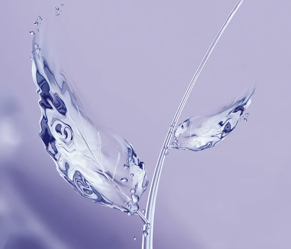 Menekşe su yaprakları