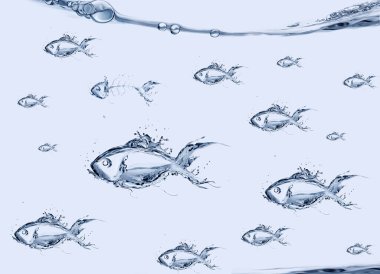 Sudan yüzen bir balık sürüsü.