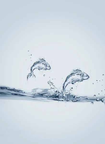 Dos Peces Agua Salto Agua — Foto de Stock