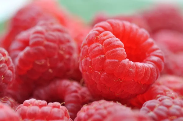 Fresh raspberries — Stock Photo, Image