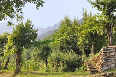 bir vadide bahçeleri