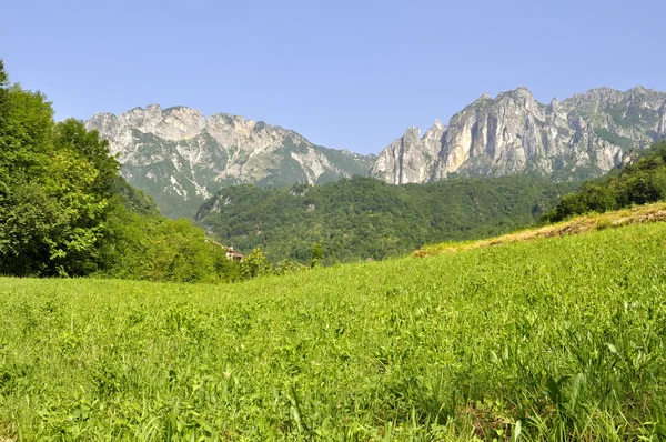 Paisagem montanhosa no verão (Itália ) — Fotografia de Stock