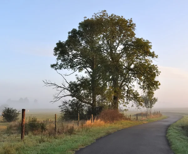 Paisaje rural al amanecer —  Fotos de Stock