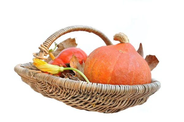 Basket with pumpkins — Stock Photo, Image