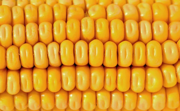 Oreja de maíz — Foto de Stock