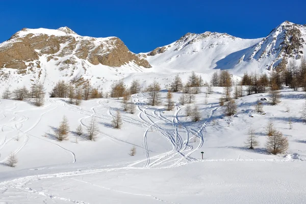 Ski's off-road — Stockfoto
