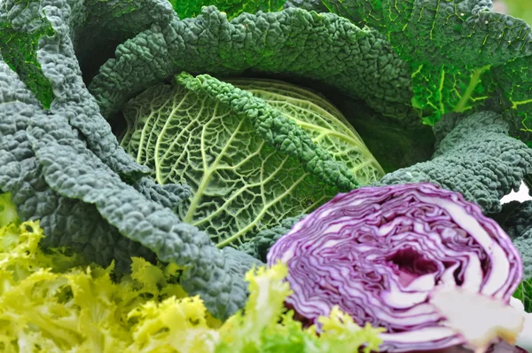 Säsongens grönsaker — Stockfoto